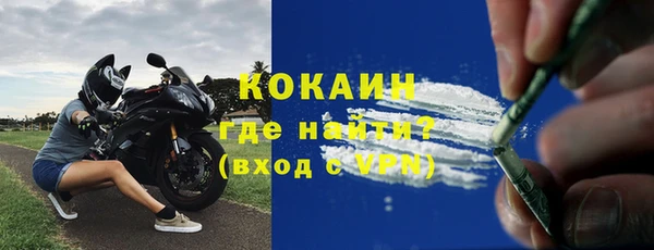 стаф Вязники