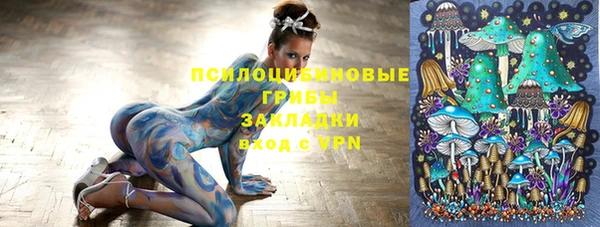 сатива Волосово