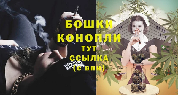 сатива Волосово
