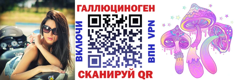 Псилоцибиновые грибы Psilocybe Петровск