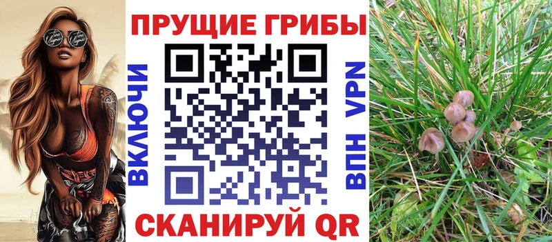 Галлюциногенные грибы Psilocybine cubensis  даркнет сайт  Петровск 